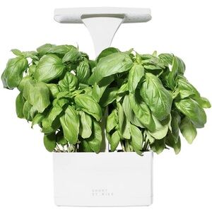 NEW IN BOX: Short Stories Indoor LED Planter